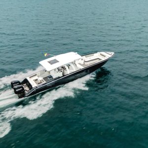 Bote Luxury 42 Ft