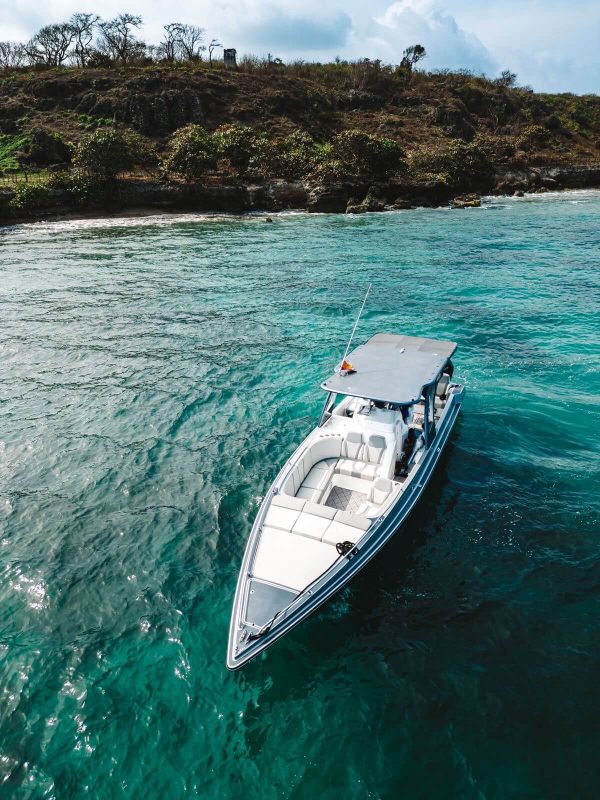 Bote Deportivo Blue 38 ft