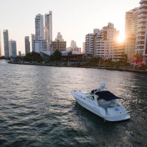 YATE SEA RAY 41 FTS 6.2