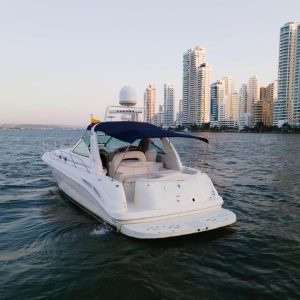 YATE SEA RAY 41 FTS 6.7