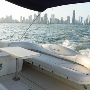 YATE SEA RAY 41 FTS 6.8