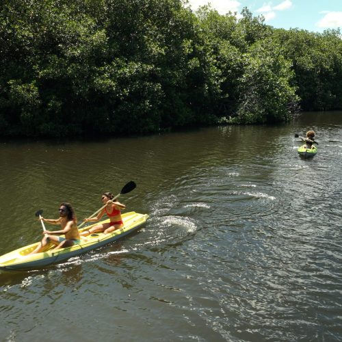 Kayak 1