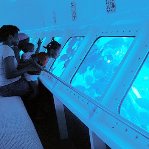 experiencia-con-especies-marinas-en-el-semi-submarino-manati-en-san-andres-islas